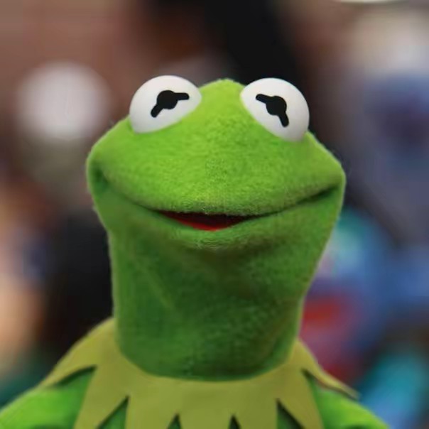 Kermit On TikTok