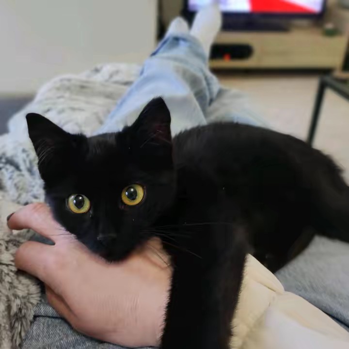 ŤØƝƳ💫🗯❣️