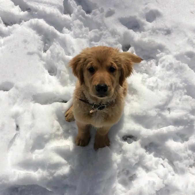 🍿• 𝙎𝙉𝙄𝘾𝙆𝙀𝙍𝙎 •🍿