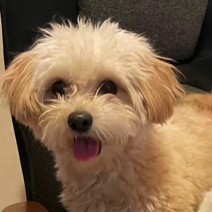 えんこ（ももち47）⑫