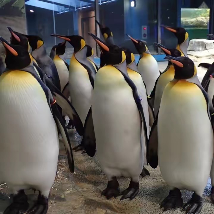 🎙️時村寛💜