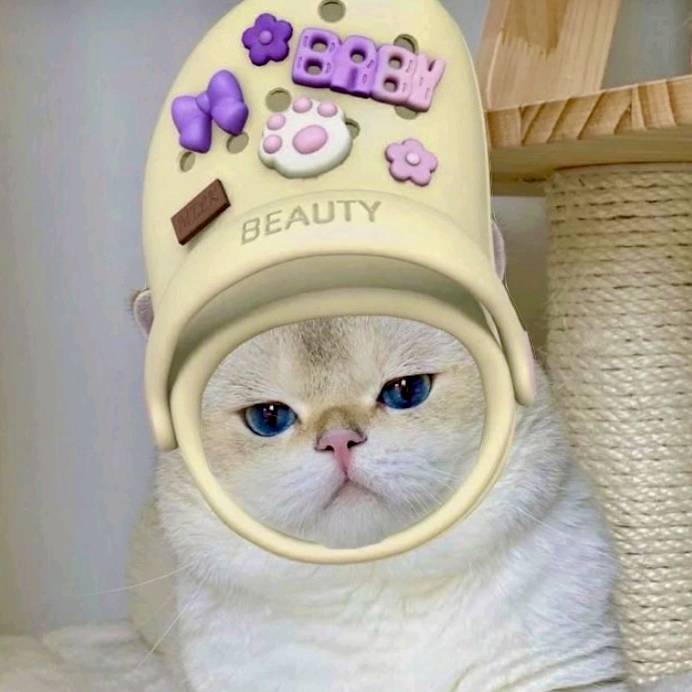 видео и ничего больше