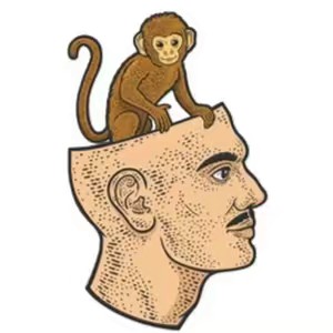 monkeymind1