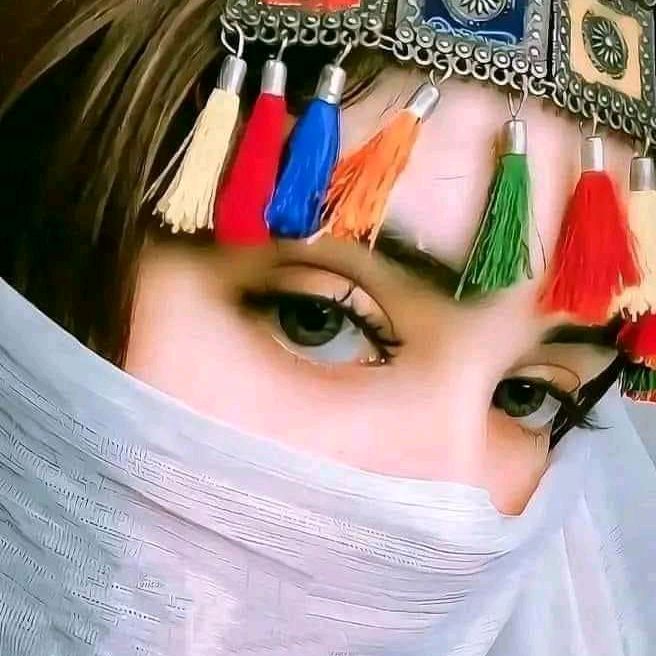 Chilli Milli WildCat Army.8🦁