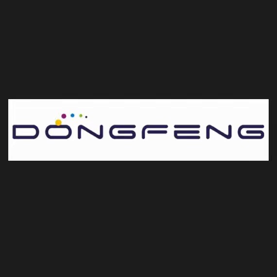 DONGFENG-LLC
