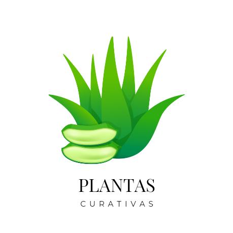 AprendePlantasCurativas