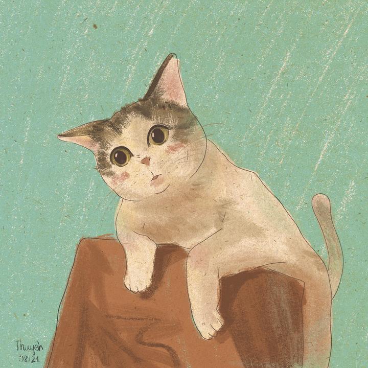 Adoptameow - Cho em v? nh?