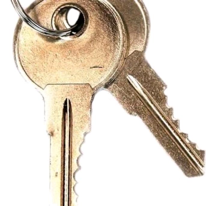 I.saw.someone.steal.some.keys