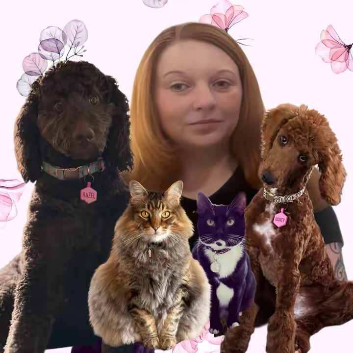 3southerncats.and.momma