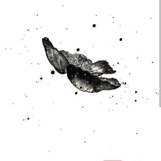 ТОП_МЮЗЕРОВ