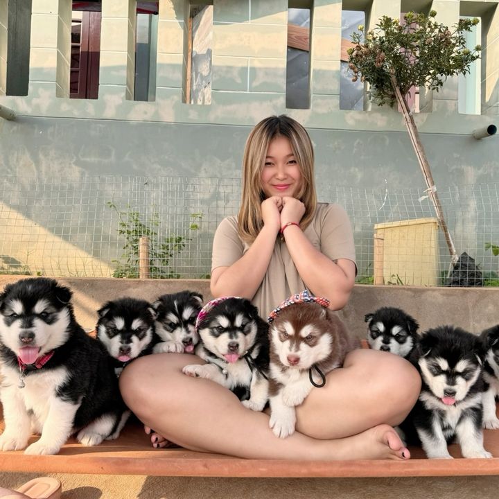 Jasmine Pet House 🐶🐾