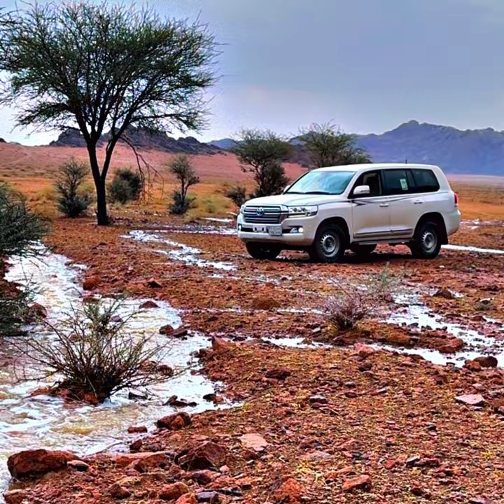 محمد التميمي