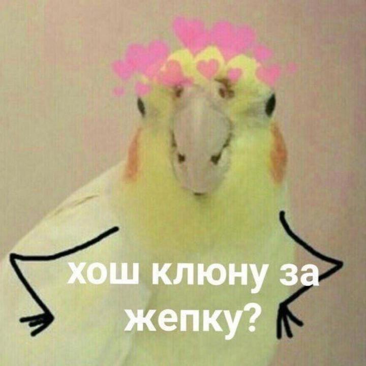 💎N•A•S•T•I•A💎