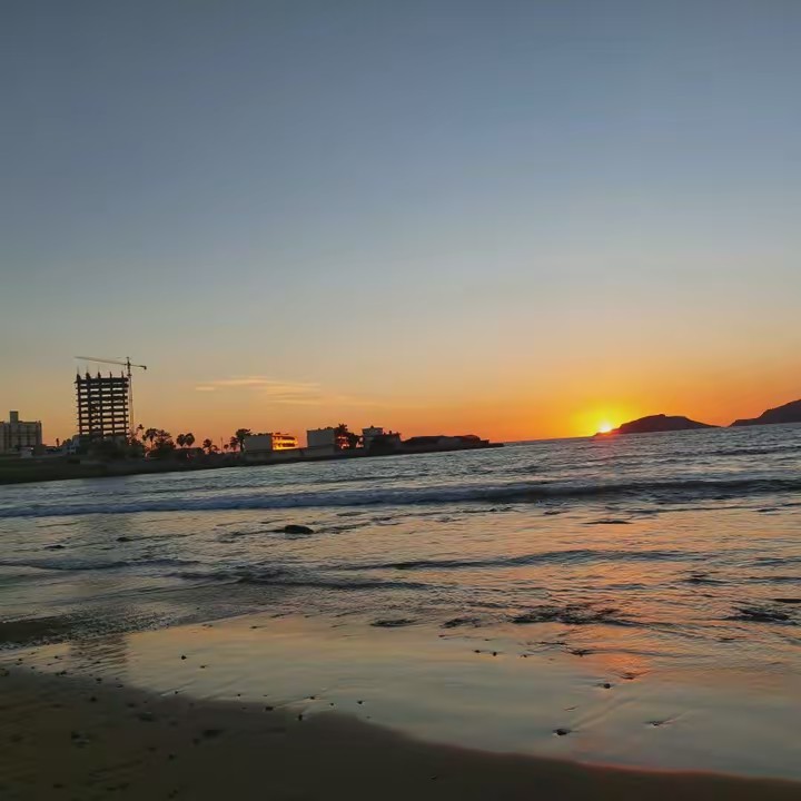 Alicia Almodóvar643