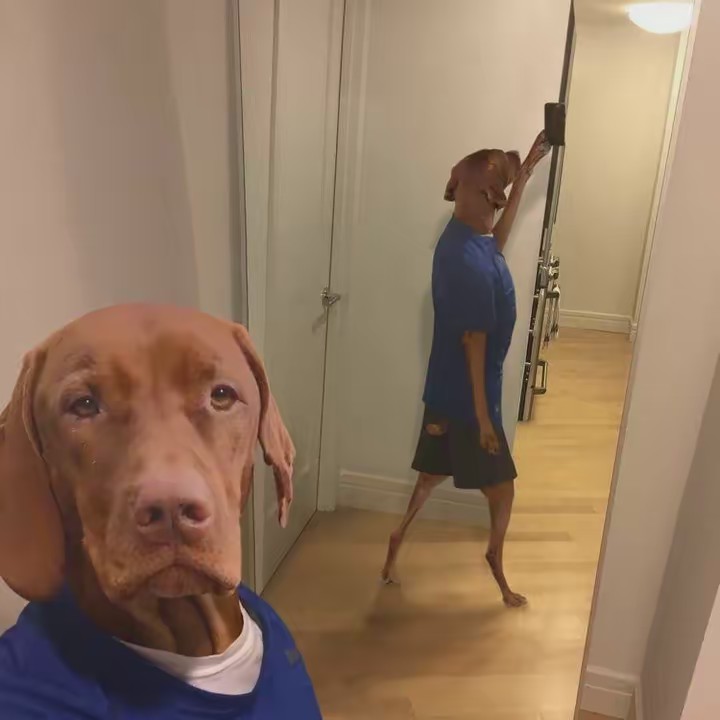 this is just for fun 🤍