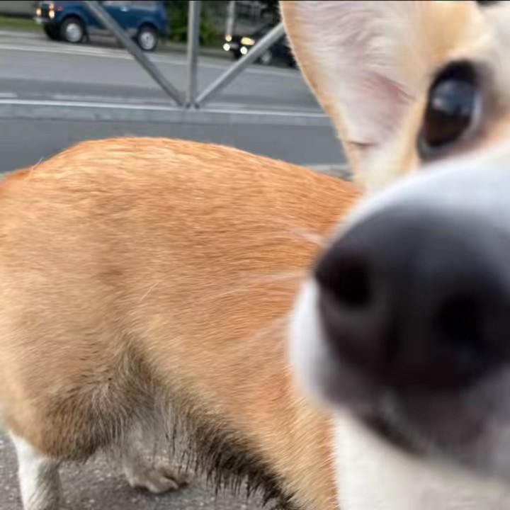 2007lanix не буду