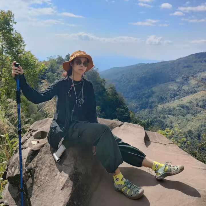 SugarBrownieAndThe15Cats