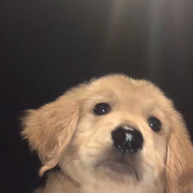 ชิชา LuckChy