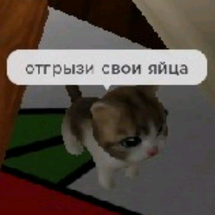 - 𝐗𝐥𝐚𝐨𝐦𝐢 [🎉]