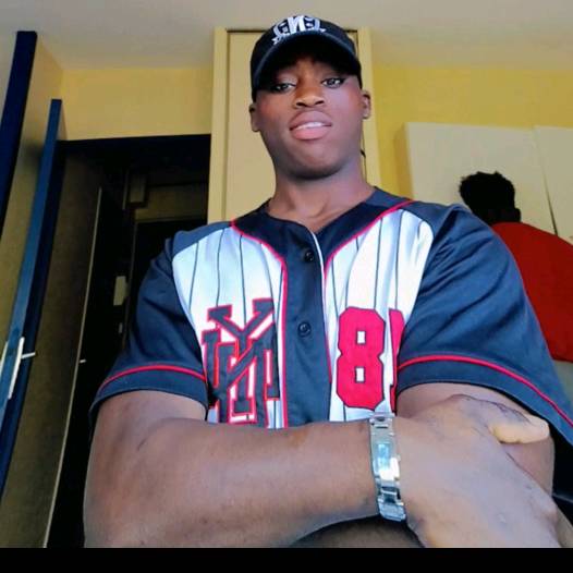 👊ib.le cerveau🧠⁉️