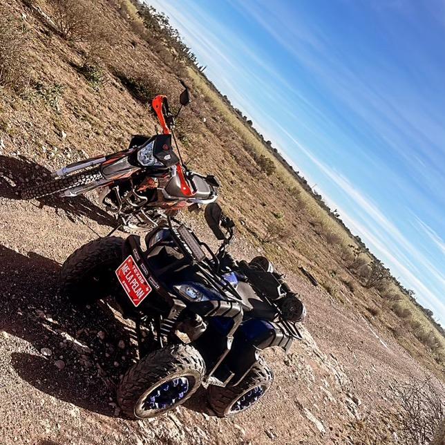 Gallo😈😈😈😈