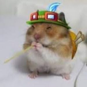 lillilllllilllililil