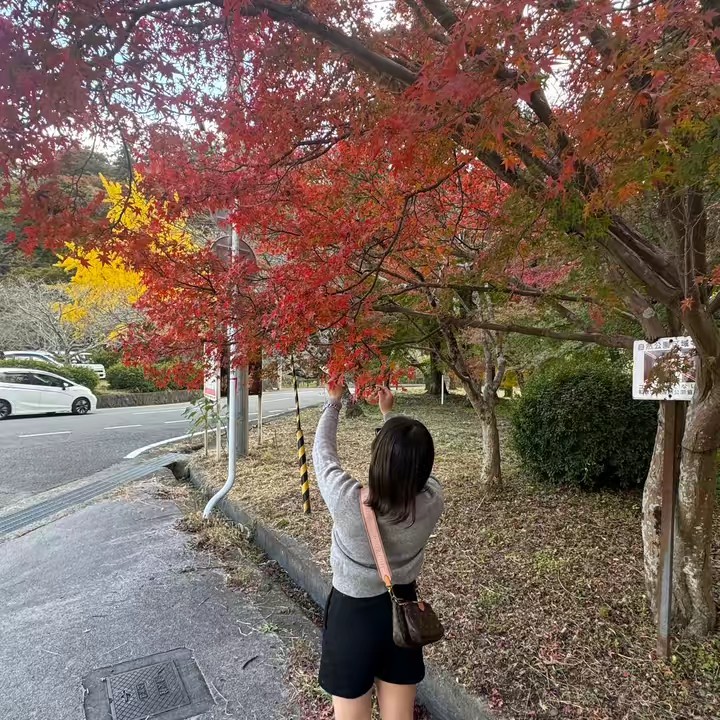 胃袋幸せ女の日常
