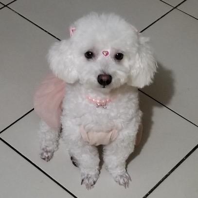 Meninaysushermanos🐾