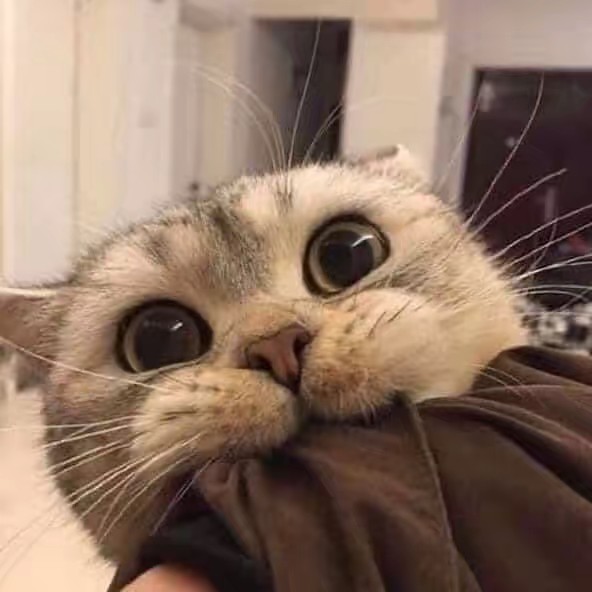 สินค้าราคาถูก