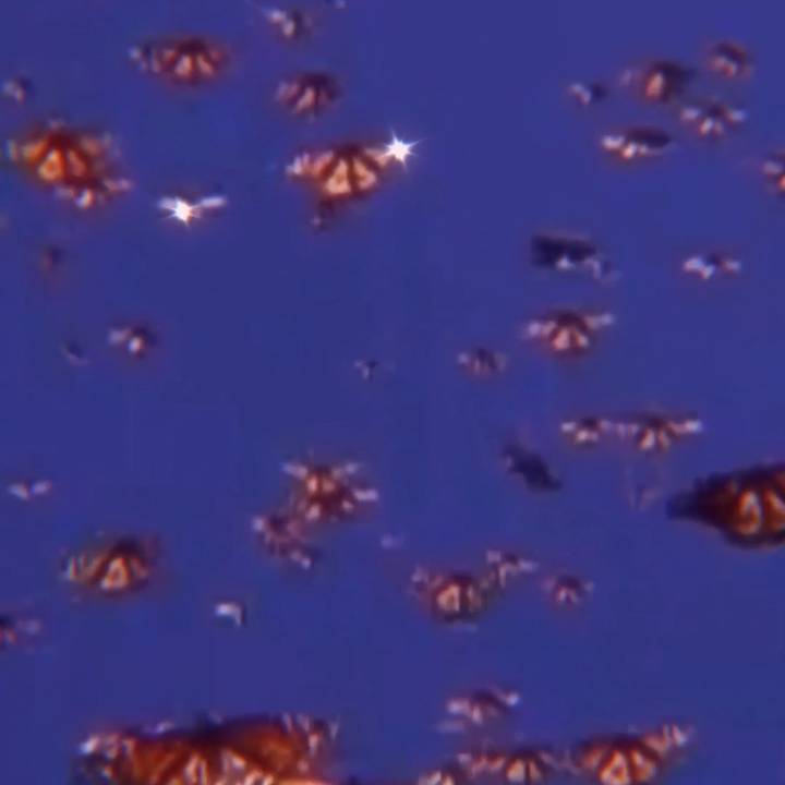 𝓐𝓮𝓼𝓽𝓱𝓮𝓽𝓲𝓬 𝓔𝓭𝓲𝓽𝓼