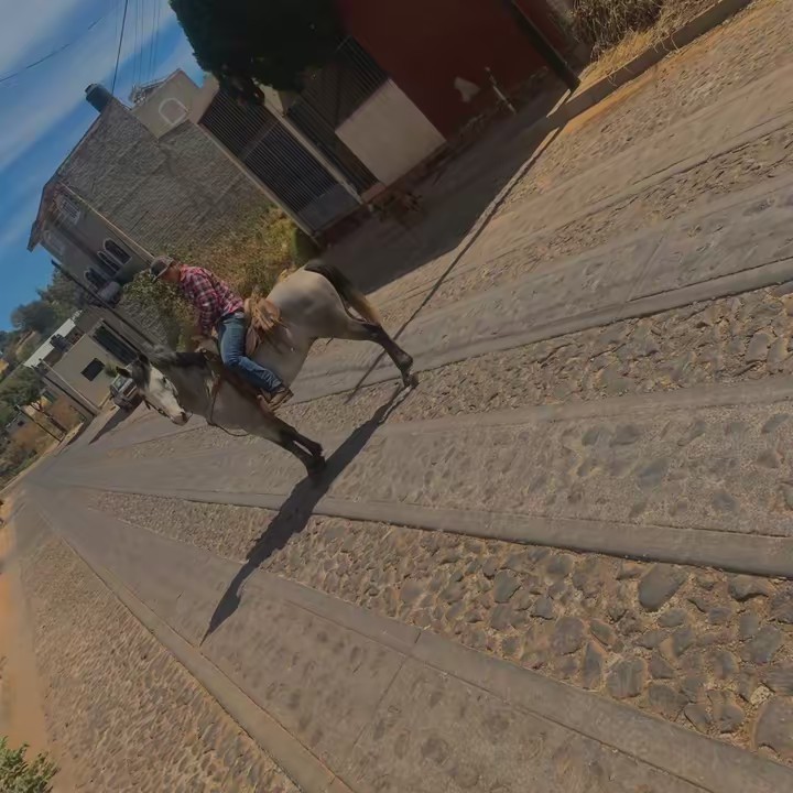 Kevin franco ✌🏼