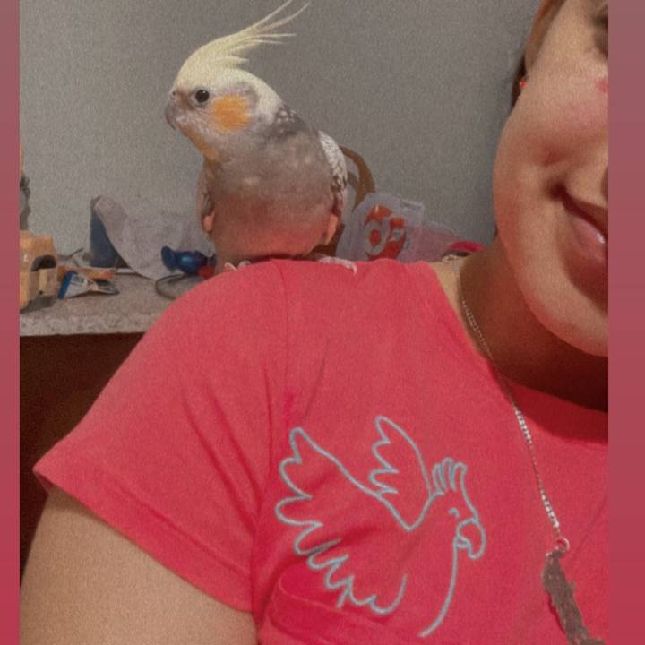 🦋Rosary Michell🦋