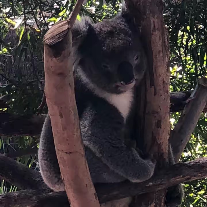 晴れのちめっちゃ雨