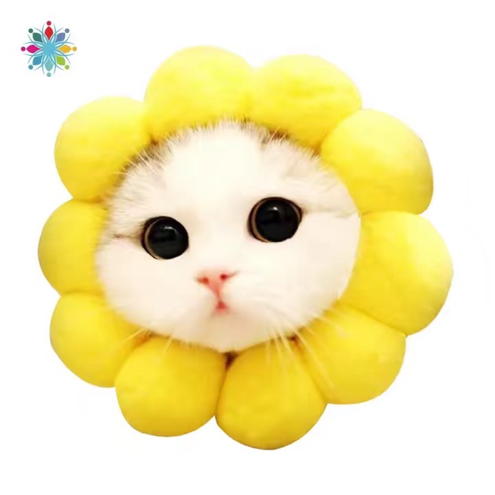 คุณพิชญ์ พาเพลิน