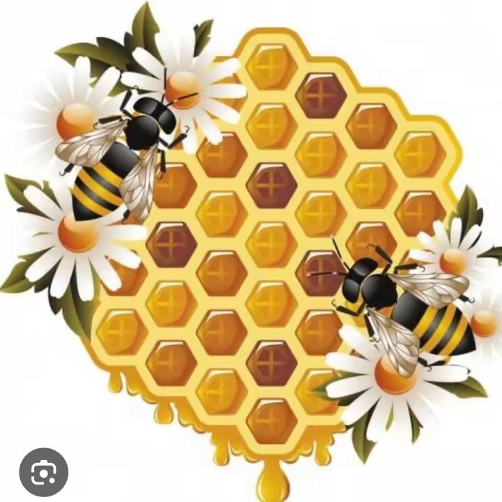 🇬🇧🐝عسلی🐝🇬🇧