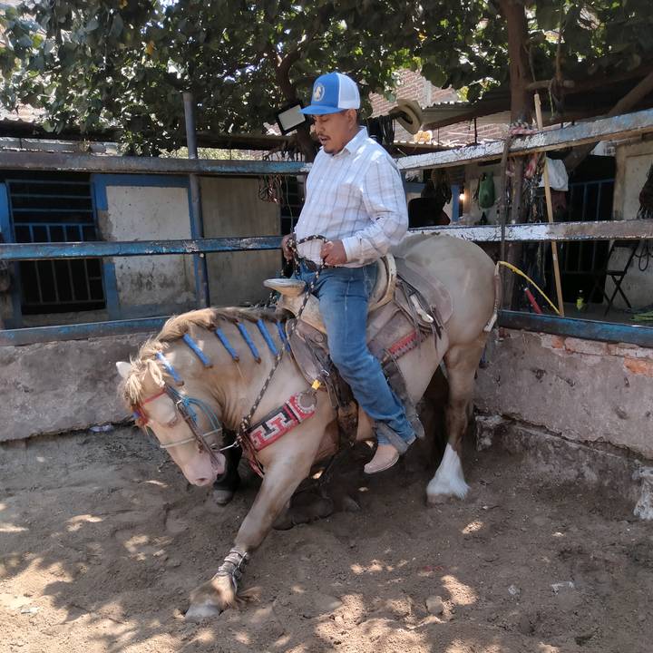 Nicolás Nicole Reynoso