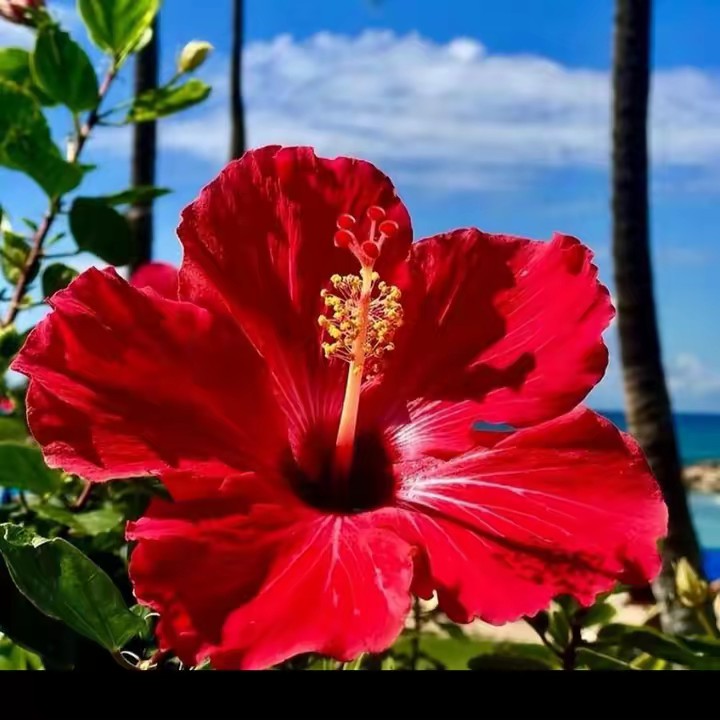 🦋🦋Mp,one🍁☘️