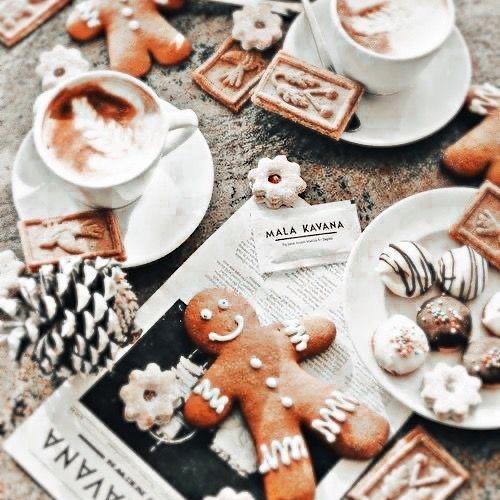 𝐒𝐨𝐟𝐢𝐚! 🦌❄️