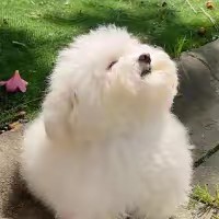 LumoBox