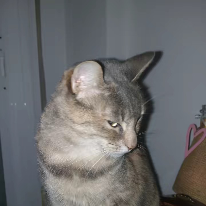 Castro Vela Gael Ernesto