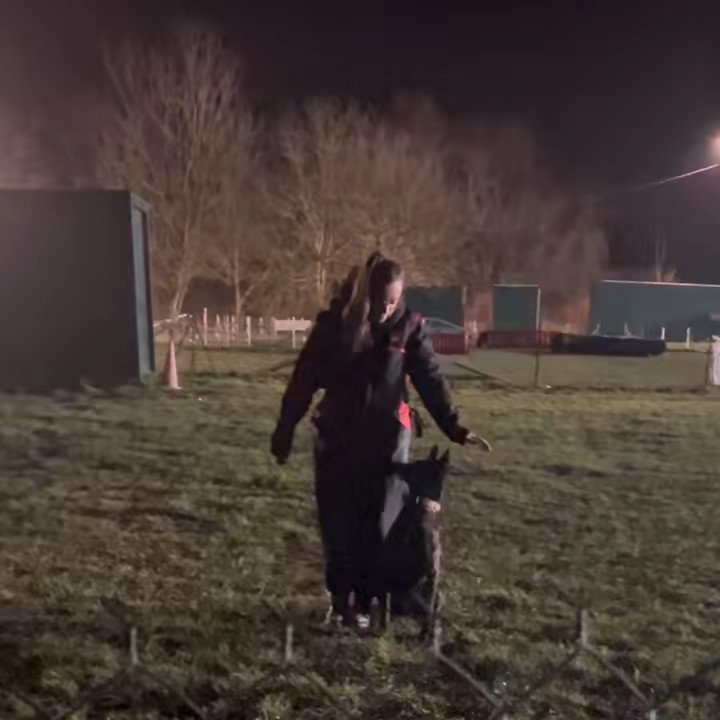 Sandy Van Craeyenest