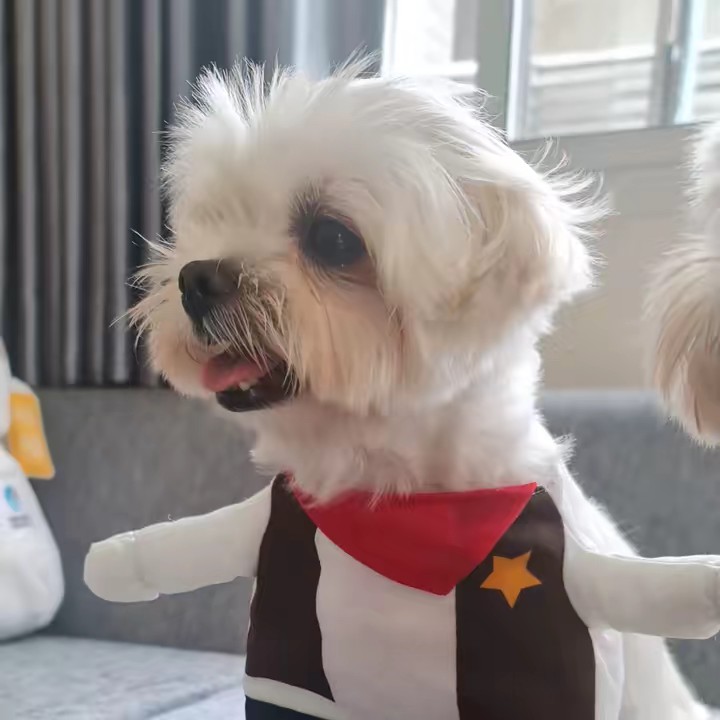 บ้านสะระอิ๊