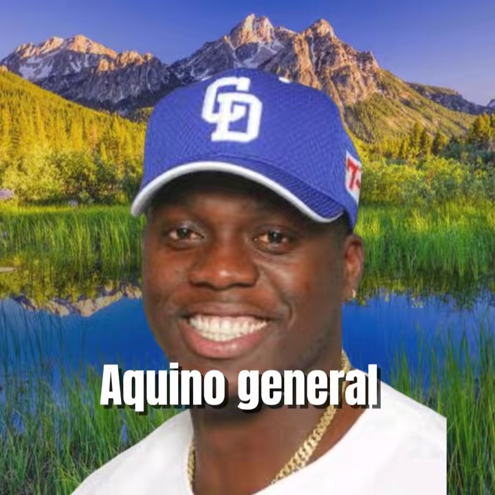 アキーノ将軍（竜党）