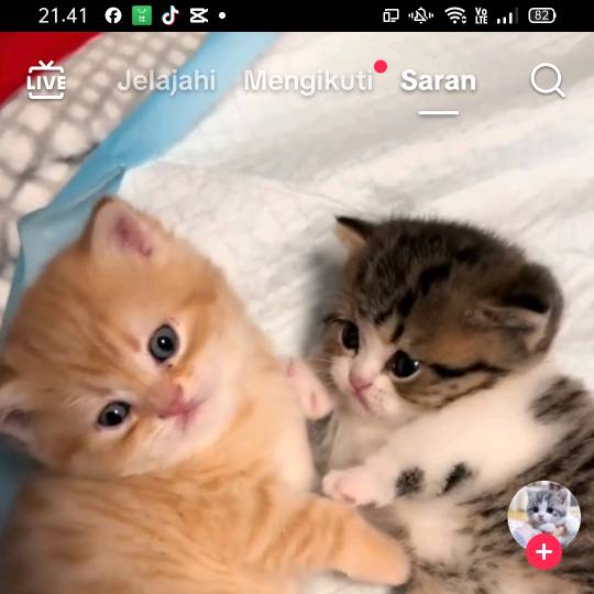 ♠️BAPAKKVIANSAJA♠️