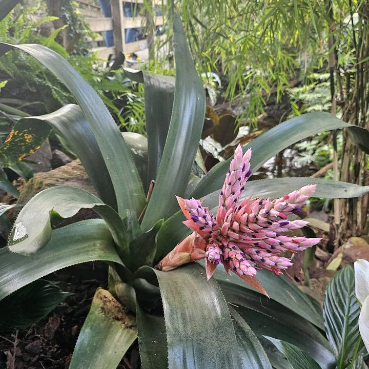 I need some space and peace😎