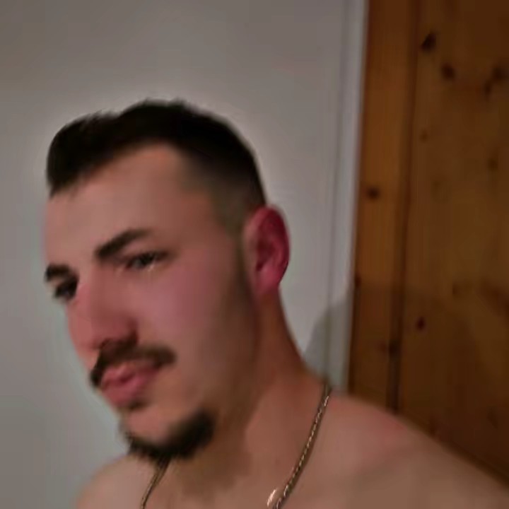 Le_paysagiste_normand