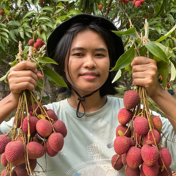 สวนลิ้นจี่อุทัยรัศมี