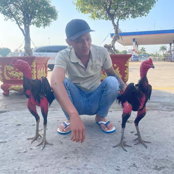 Xuân Tiến.86