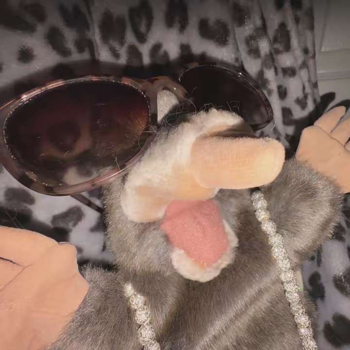 Moleisha😍💸💋