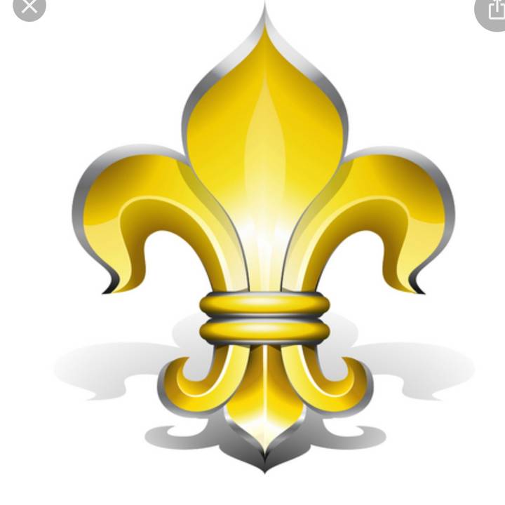 Fleur _de _lys5